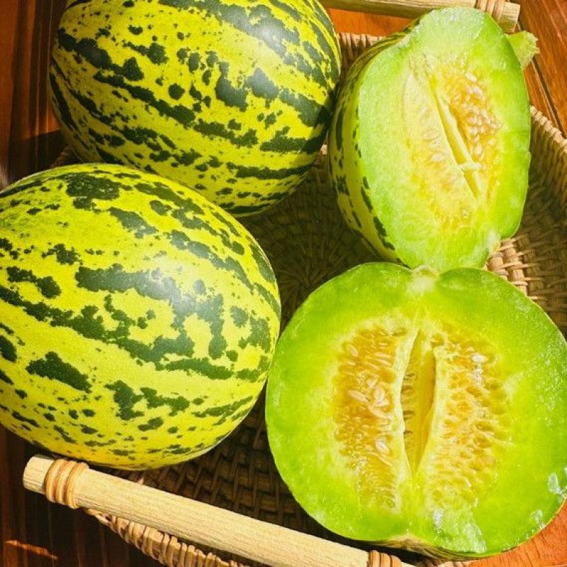 内黄花美人甜瓜温棚精品现摘产地直供代办发货
