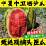 （金城5号）宁夏西瓜/石头瓜/品种齐全/保质保量发货