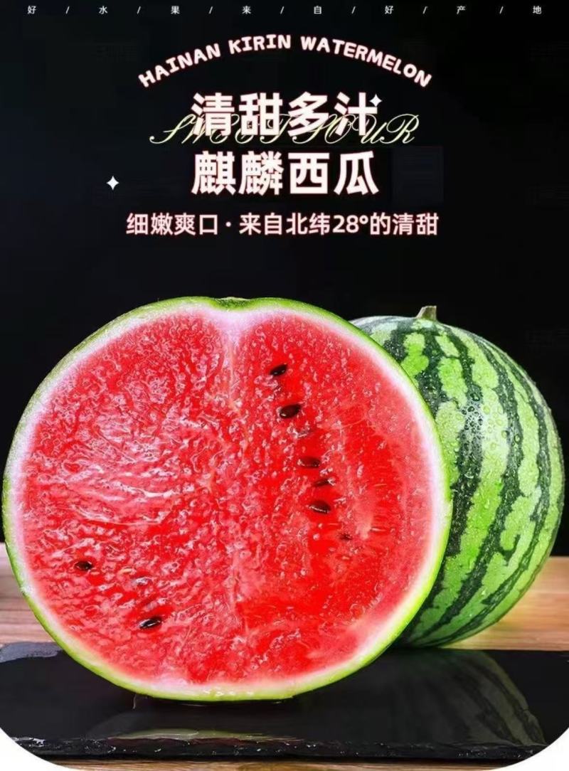 山东临沂麒麟西瓜大量上市产地一手货源欢迎随时联系