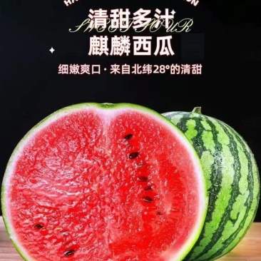 山东临沂麒麟西瓜大量上市产地一手货源欢迎随时联系