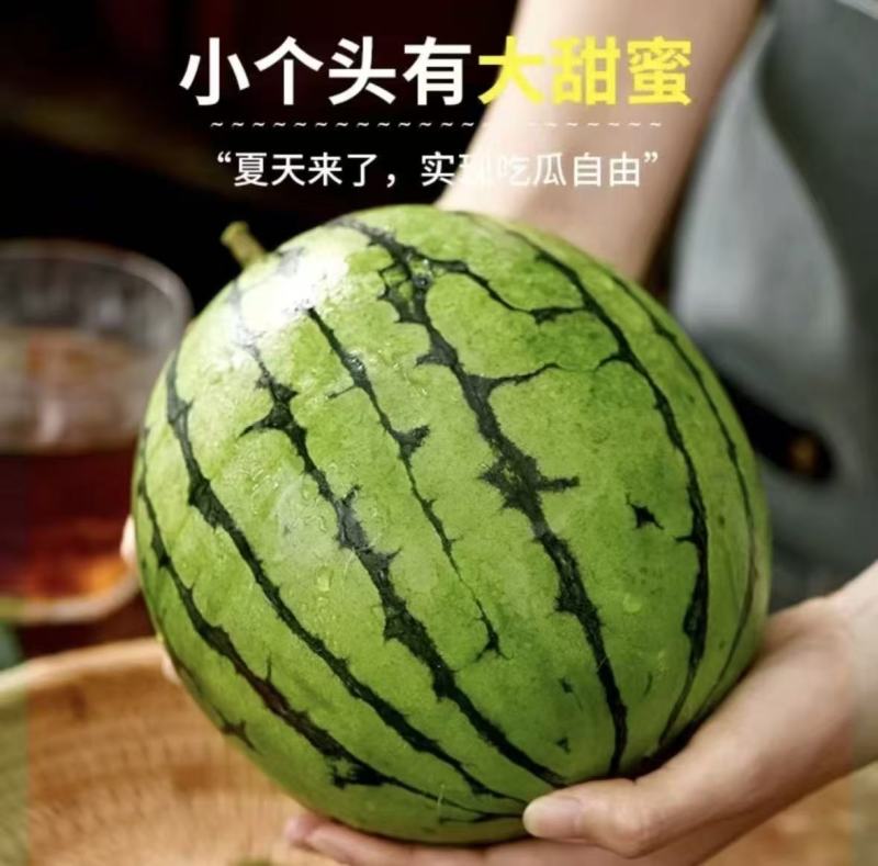 山东临沂麒麟西瓜大量上市产地一手货源欢迎随时联系