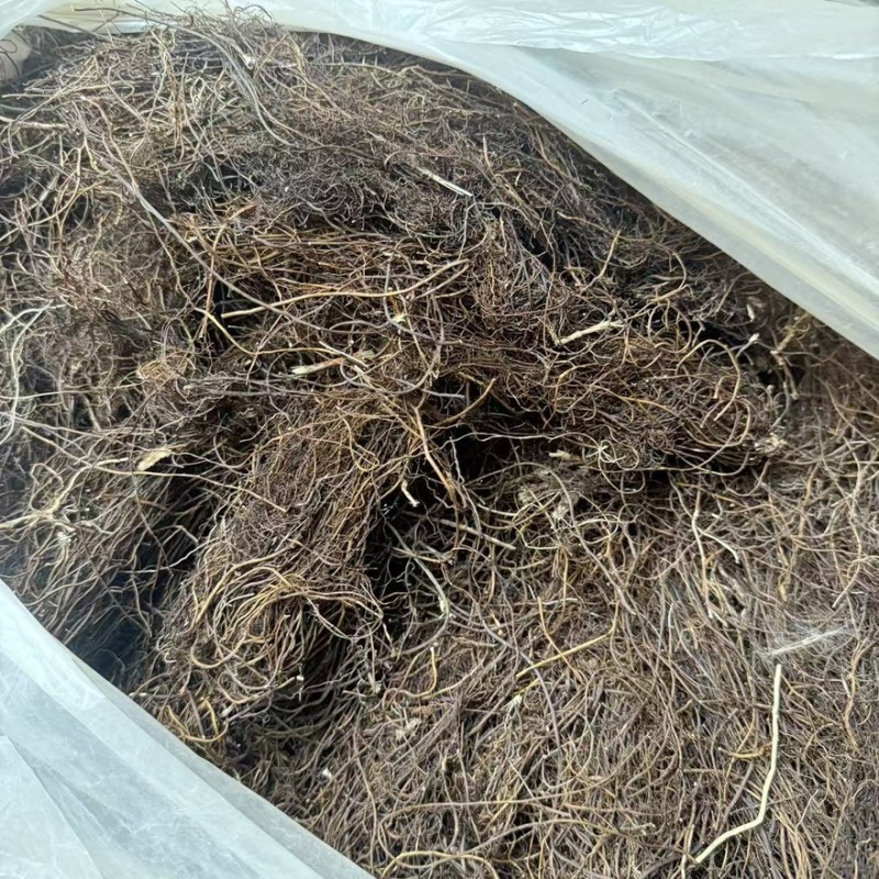 威灵仙个子非种植可零售