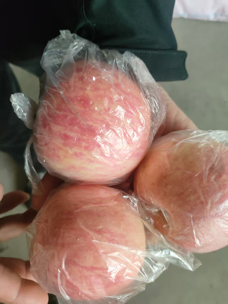 冰糖心红富士苹果，产地直发，物美价廉，量大从优