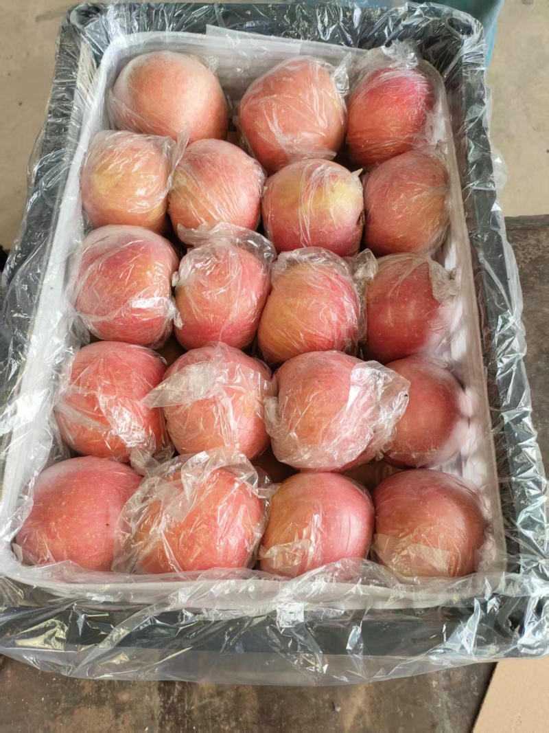 冰糖心红富士苹果，产地直发，物美价廉，量大从优