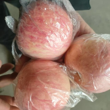 冰糖心红富士苹果，产地直发，物美价廉，量大从优
