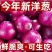 红皮洋葱，河南周口产区当季新货大量上市保质保量可对接全国
