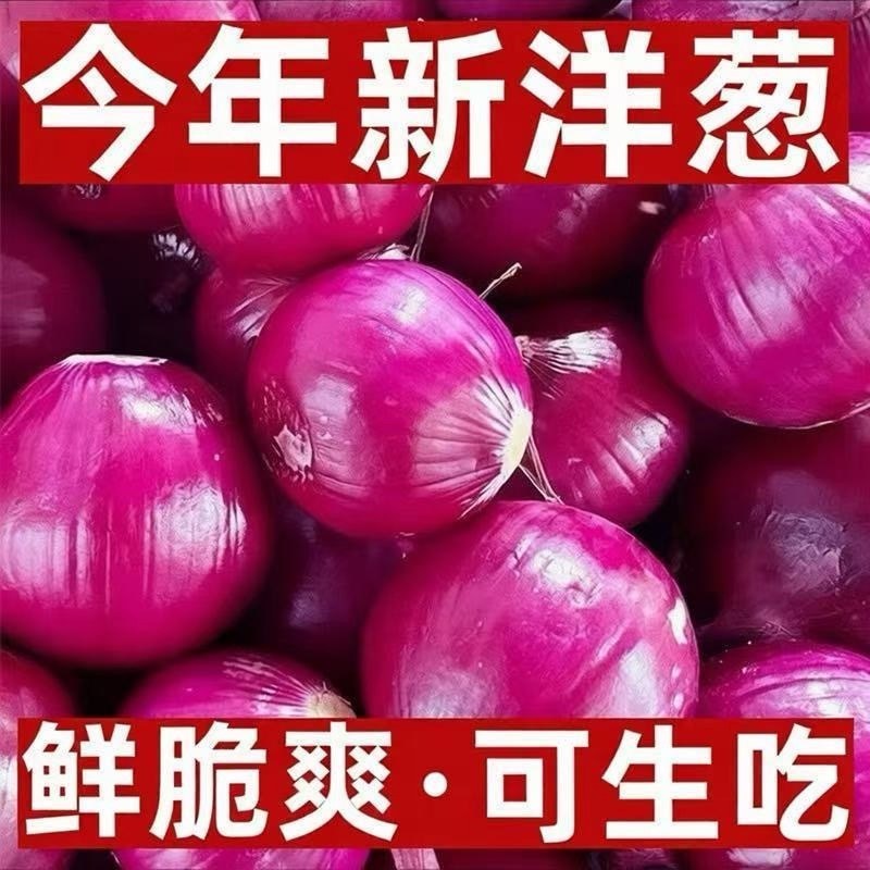 红皮洋葱，河南周口产区当季新货大量上市保质保量可对接全国