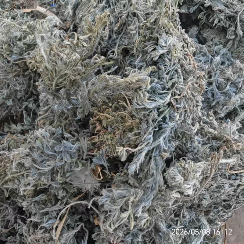 干茵陈，产地大量发货，对接全国各地客户，欢迎咨询