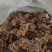 野生八角莲水洗干货新货质量保证