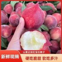 云南正宗红宝石桃子基地直发规格齐全对接全国量大从优