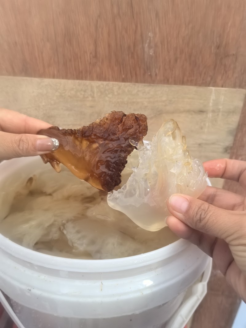 海蜇头，白花蜇头，爽脆可口，酒店专用，可常年供货