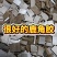 正品鹿角胶正宗鹿胶吉林胶块梅花鹿纯正鹿场散装可入药原材料