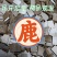正品鹿角胶正宗鹿胶吉林胶块梅花鹿纯正鹿场散装可入药原材料