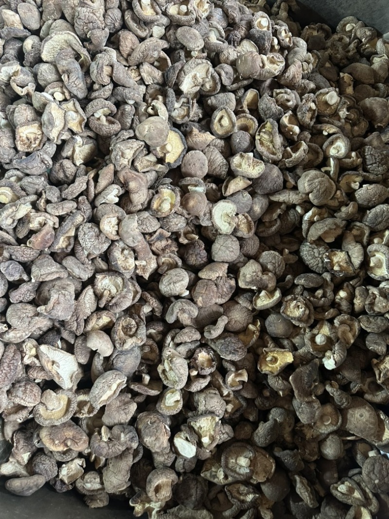 干香菇电商香菇食用菌香菇干蘑菇蘑菇干常年大量供应