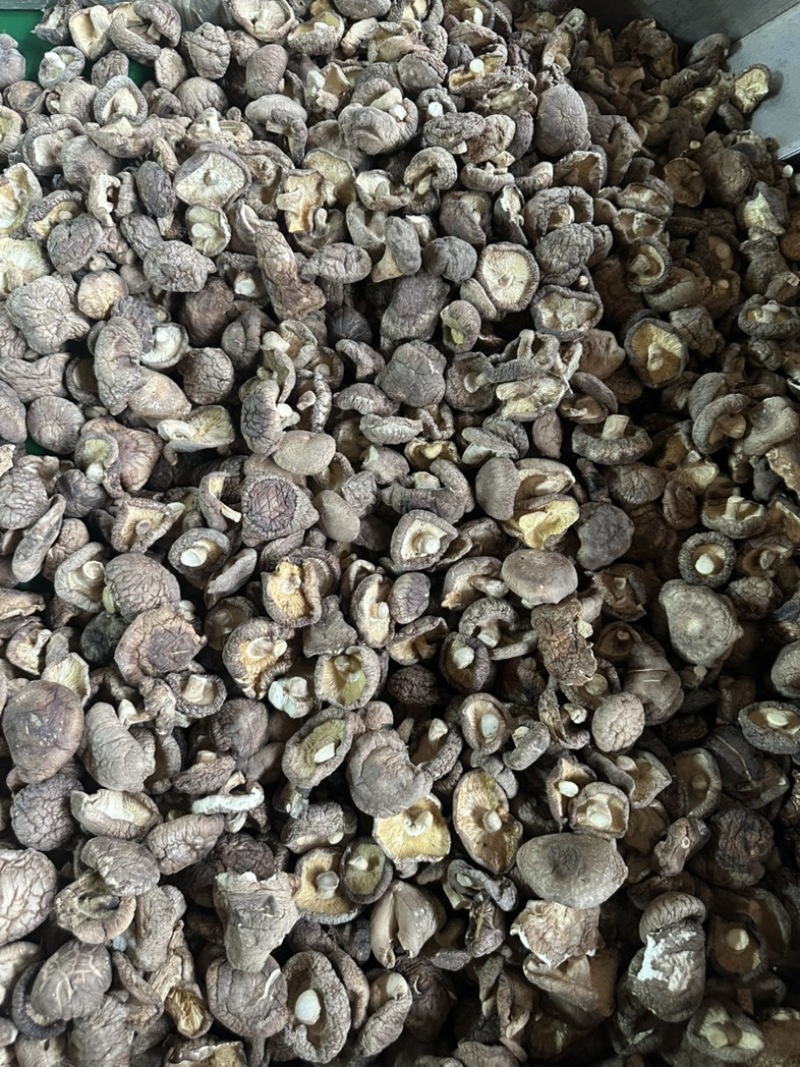 干香菇电商香菇食用菌香菇干蘑菇蘑菇干常年大量供应