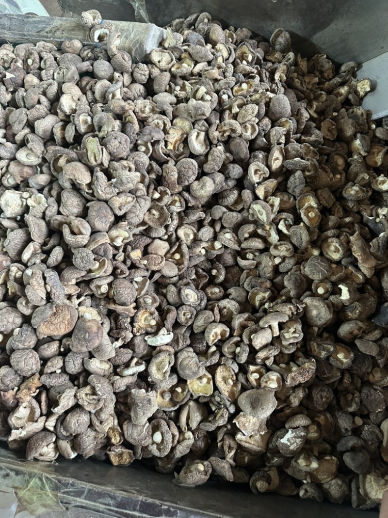干香菇电商香菇食用菌香菇干蘑菇蘑菇干常年大量供应