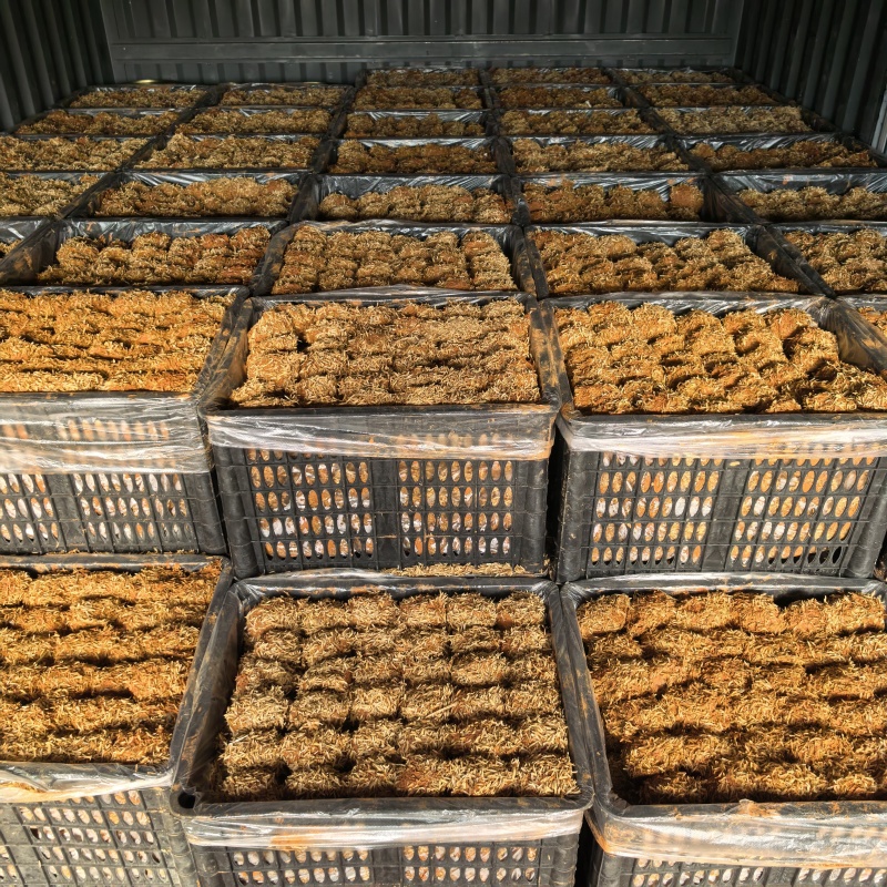 源头工厂松花蛋整箱批发地摊电商热销**高利润