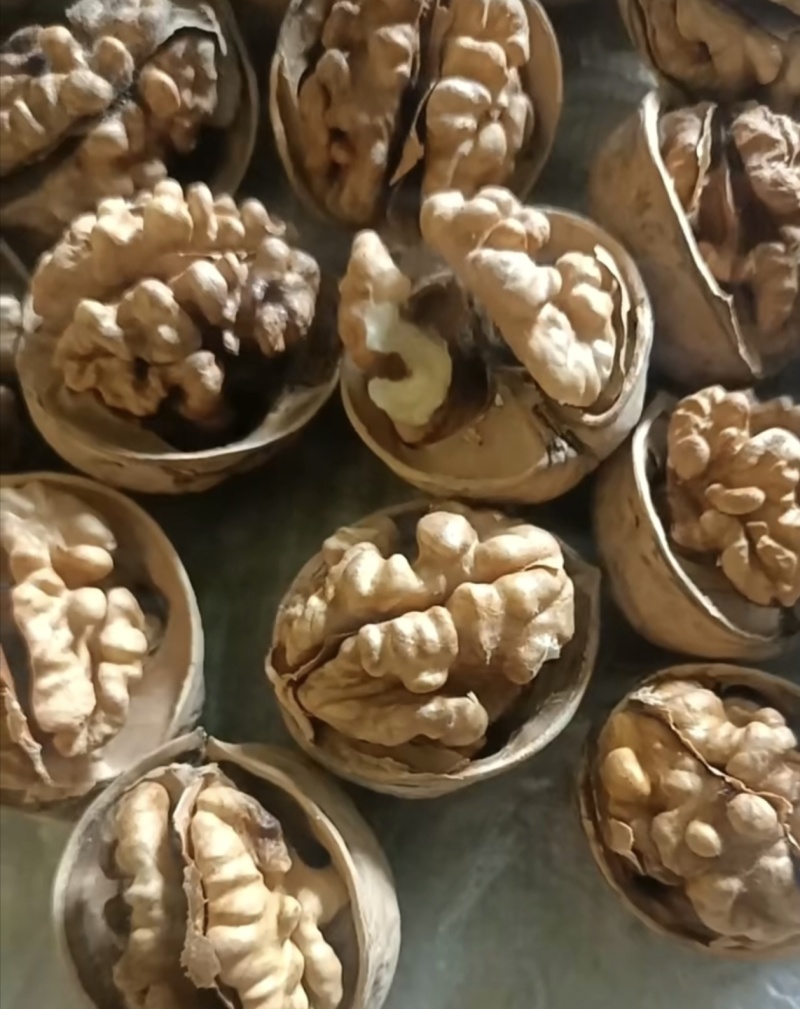 新疆185纸皮核桃