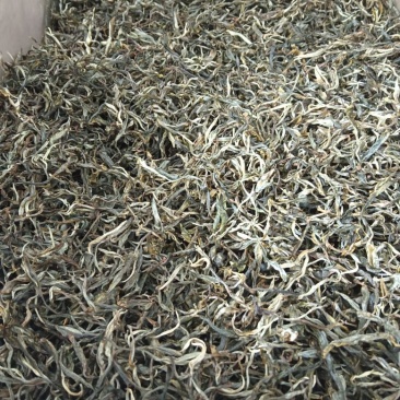 云南凤庆，放荒古树生普洱，纯手工制作欢迎随时咨询！