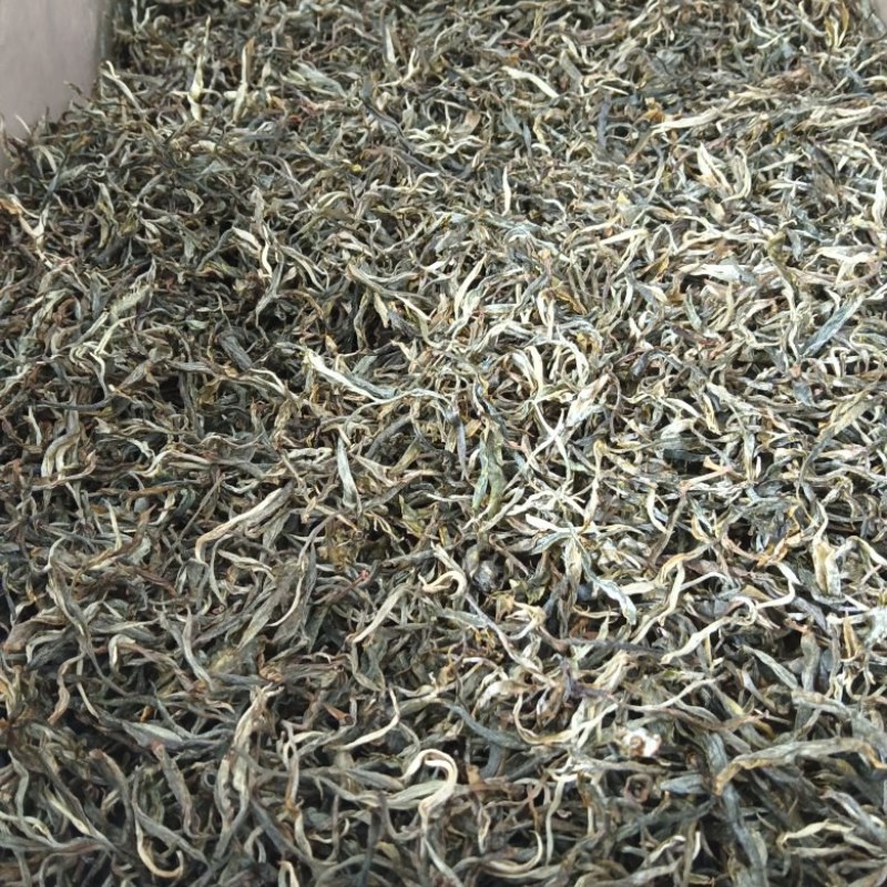 云南凤庆，放荒古树生普洱，纯手工制作欢迎随时咨询！