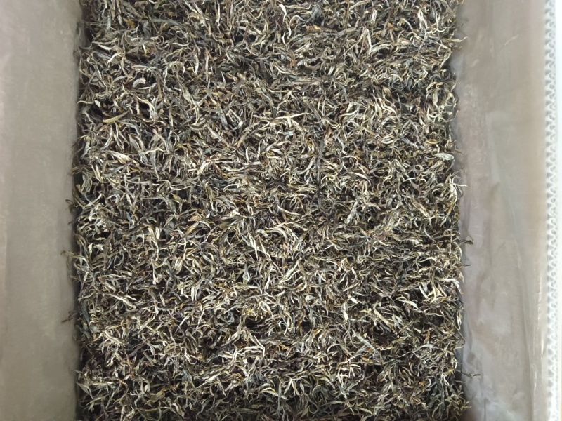 云南凤庆，放荒古树生普洱，纯手工制作欢迎随时咨询！