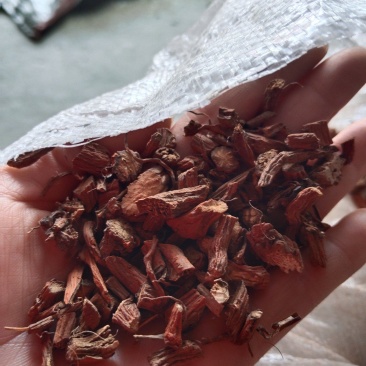 野生无硫丹参参片货好才是真好质量才是我的目标