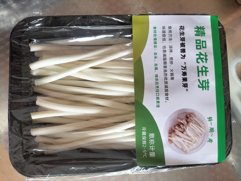 水培精品花生芽