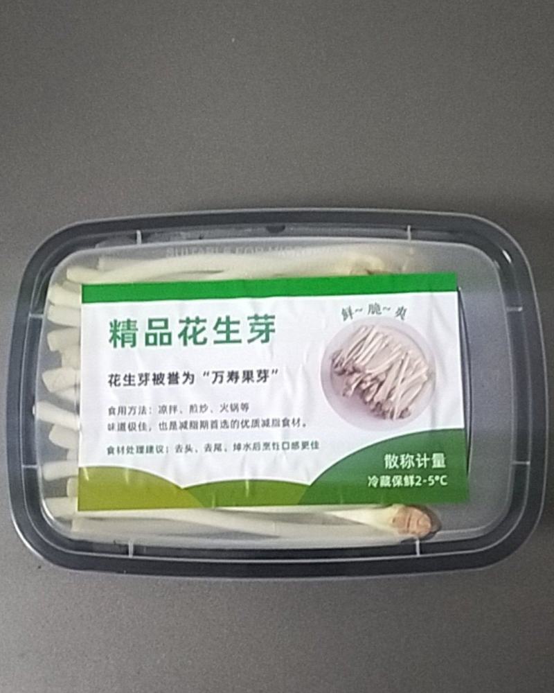 水培精品花生芽