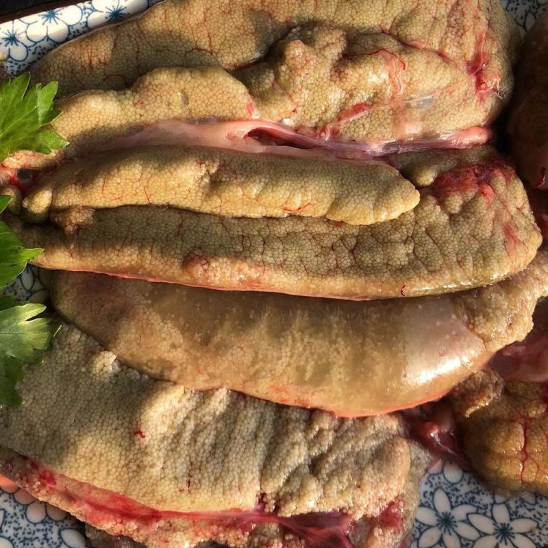 新鲜鲤鱼籽，保质保量，货源充足，诚信经营，视频看货