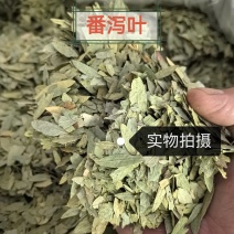 泻叶天然番泻叶中药材合作共赢诚信经营中药材