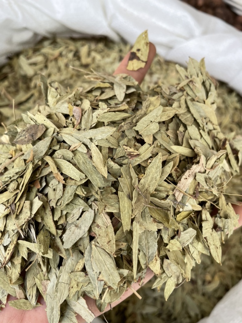 泻叶天然番泻叶中药材合作共赢诚信经营中药材