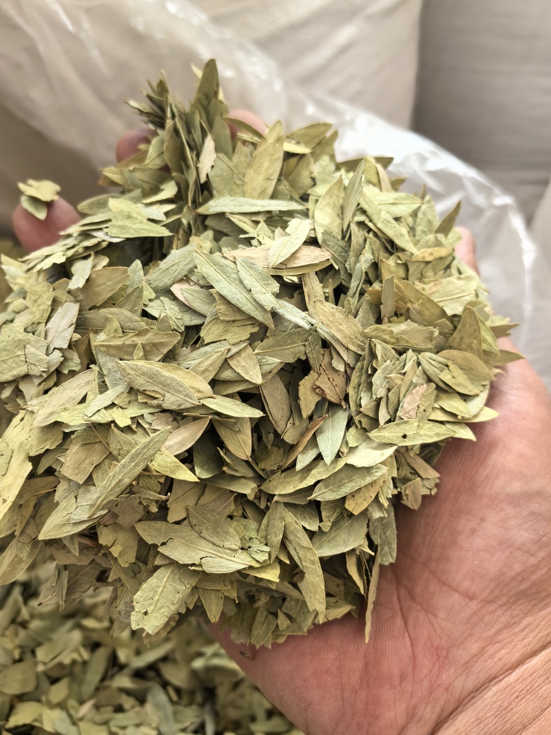 泻叶天然番泻叶中药材合作共赢诚信经营中药材