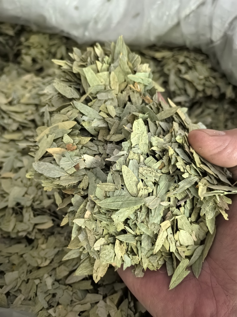 泻叶天然番泻叶中药材合作共赢诚信经营中药材