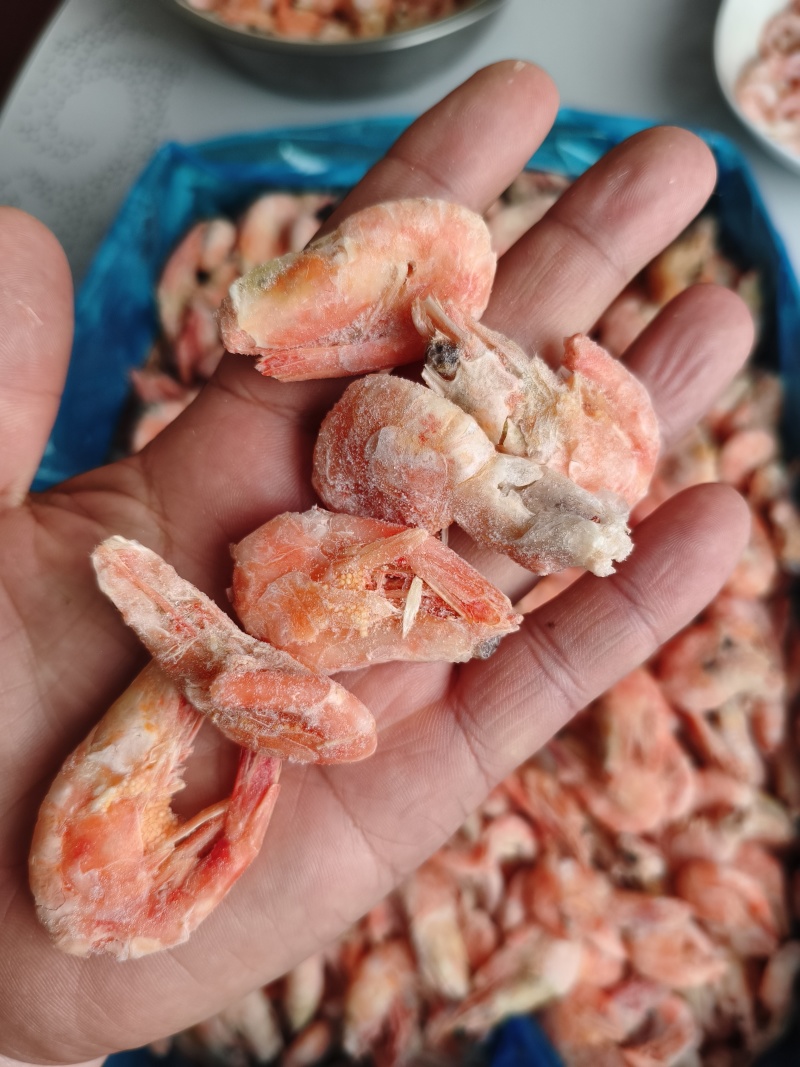 头籽北极甜虾虾残虾，150+正规格，非常实惠，