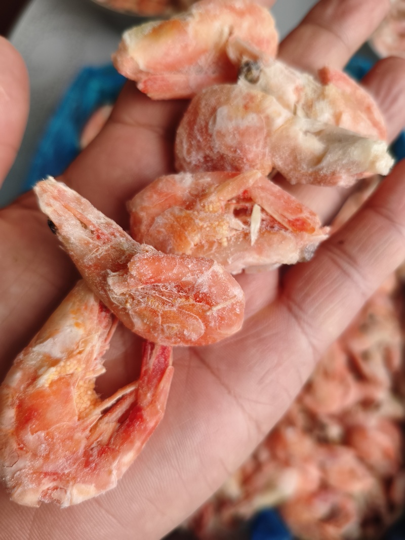 头籽北极甜虾虾残虾，150+正规格，非常实惠，