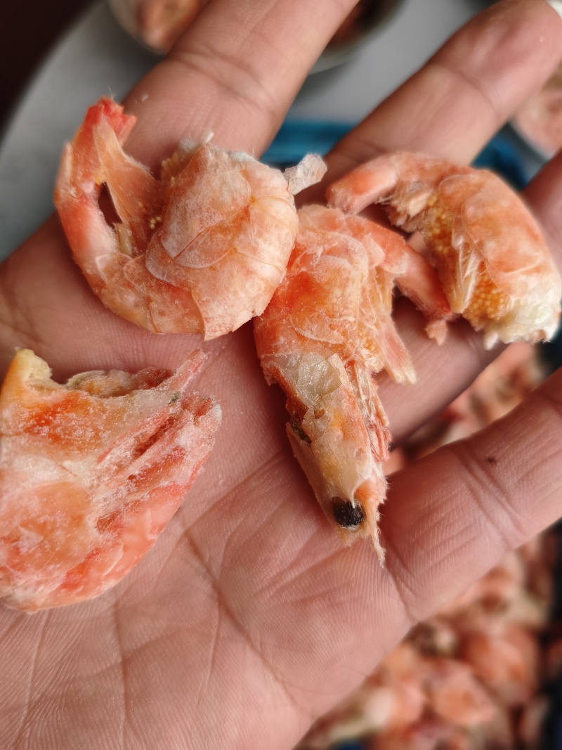 头籽北极甜虾虾残虾，150+正规格，非常实惠，