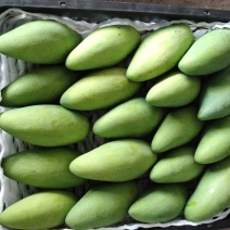云南西双版纳大青芒、金黄芒货源充足、产地直发品质保证