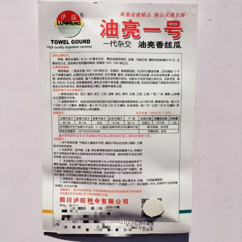 油亮肉丝瓜种子坐果率高果型顺直耐热春秋播种丝瓜种籽杂交种