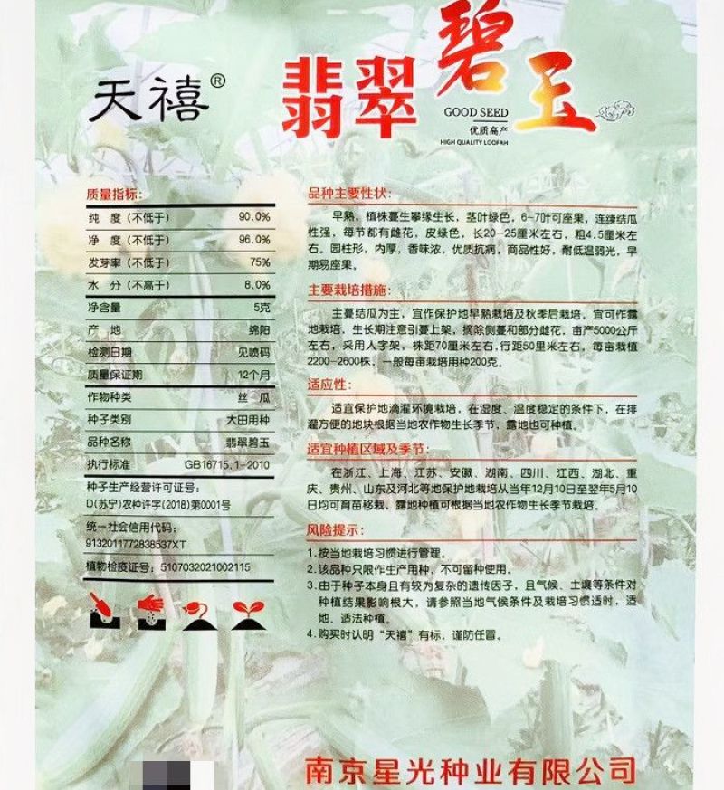 油亮肉丝瓜种子坐果率高果型顺直耐热春秋播种丝瓜种籽杂交种