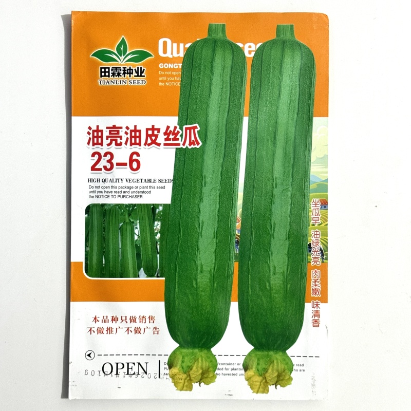 油亮肉丝瓜种子坐果率高果型顺直耐热春秋播种丝瓜种籽杂交种