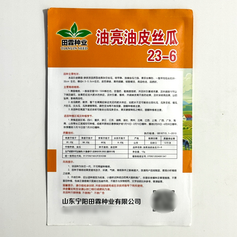 油亮肉丝瓜种子坐果率高果型顺直耐热春秋播种丝瓜种籽杂交种