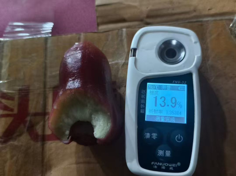 海南三亚黑金刚莲雾代办一手货源常年包园主做口感棒品质口碑