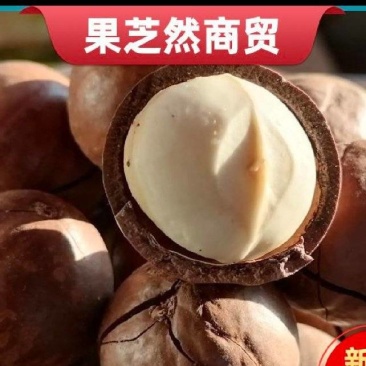 【甄选品质】当季新果夏威夷果奶香味个大饱满环形大开口