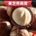 【甄选品质】当季新果夏威夷果奶香味个大饱满环形大开口