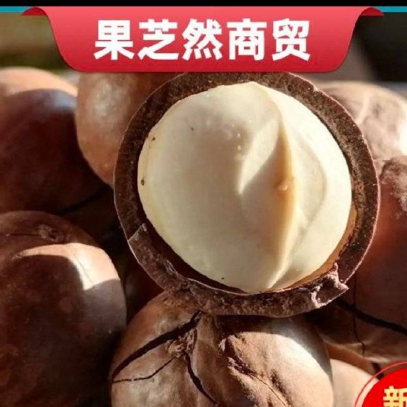 【甄选品质】当季新果夏威夷果奶香味个大饱满环形大开口