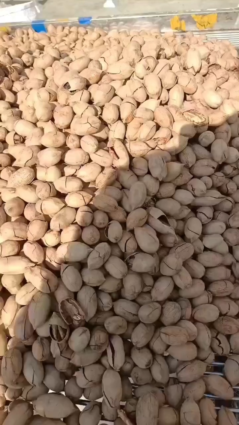 碧根果坚果干果，奶油味，批发零售，诚招全国理