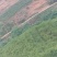 【云南高山青脆李脱骨李】一手货源无中间商，产地直发现摘