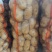 湖北荆门千亩土豆基地