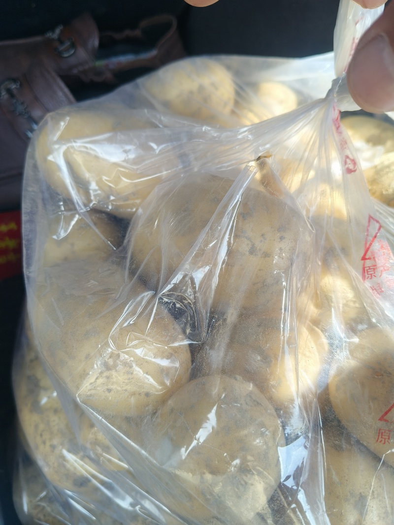 湖北荆门千亩土豆基地