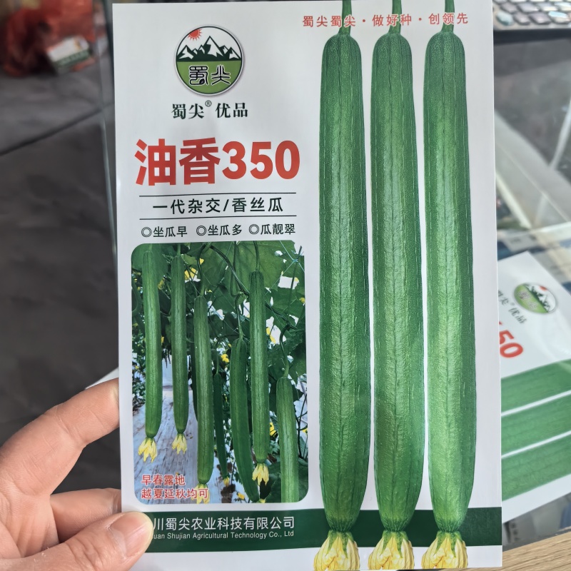 五叶香丝瓜种子蔬菜籽庭院大田种植长肉丝瓜籽种子蔬菜长棱丝
